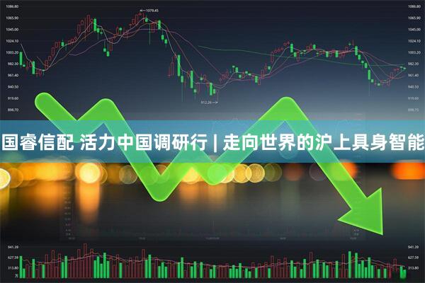 国睿信配 活力中国调研行 | 走向世界的沪上具身智能
